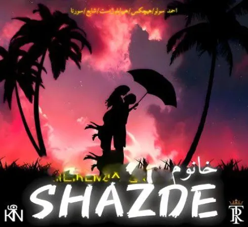 دانلود آهنگ ریمیکس ترکیبی رپ بنام شازده خانوم خانم هیچکس هیپهاپولوژیست شایع علی سورنا احمد سولو دیجی ای کینگ