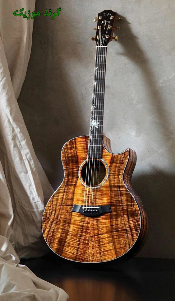 دانلود آهنگ  هایده هوش مصنوعی بی رحم ریمیکس { برو دیگه نمیخوام بمونی پیشم }