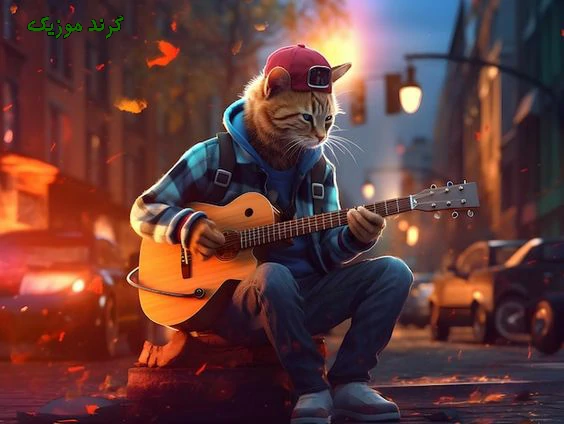 دانلود آهنگ تویی عشقم تویی عمرم نازنین ای گل من تمام اجراها + ریمیکس تند بیس دار با صدای بچه