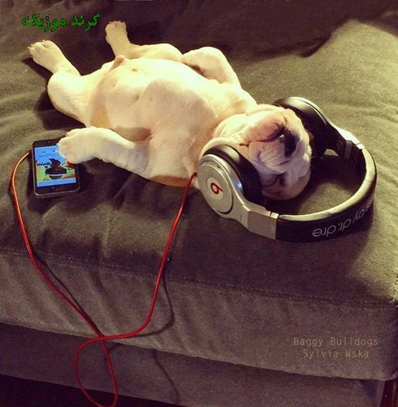 دانلود آهنگ همش دنبال توجه فکره پیچتی بچه شایان یو کامل ریمیکس