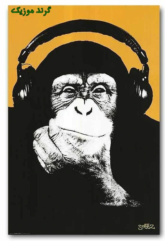 دانلود آهنگ یه تنه هوادارتم طرفدارتم  ریمیکس سالار بحیرایی + اصلی کامل دانلود آهنگ یه تنه هوادارتم طرفدارتم  ریمیکس سالار بحیرایی + اصلی کامل