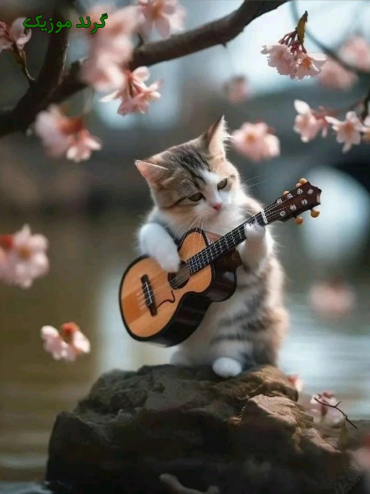 آهنگ خداحافظ یار دیوانه چه کردی با قلب ویرانه شهاب مظفری خداحافظ ریمیکس + اصلی متن