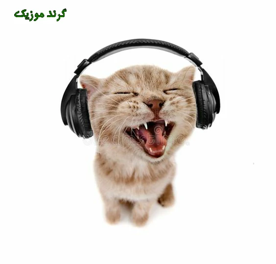 دانلود آهنگ  رضا پیشرو و اوج سایفر